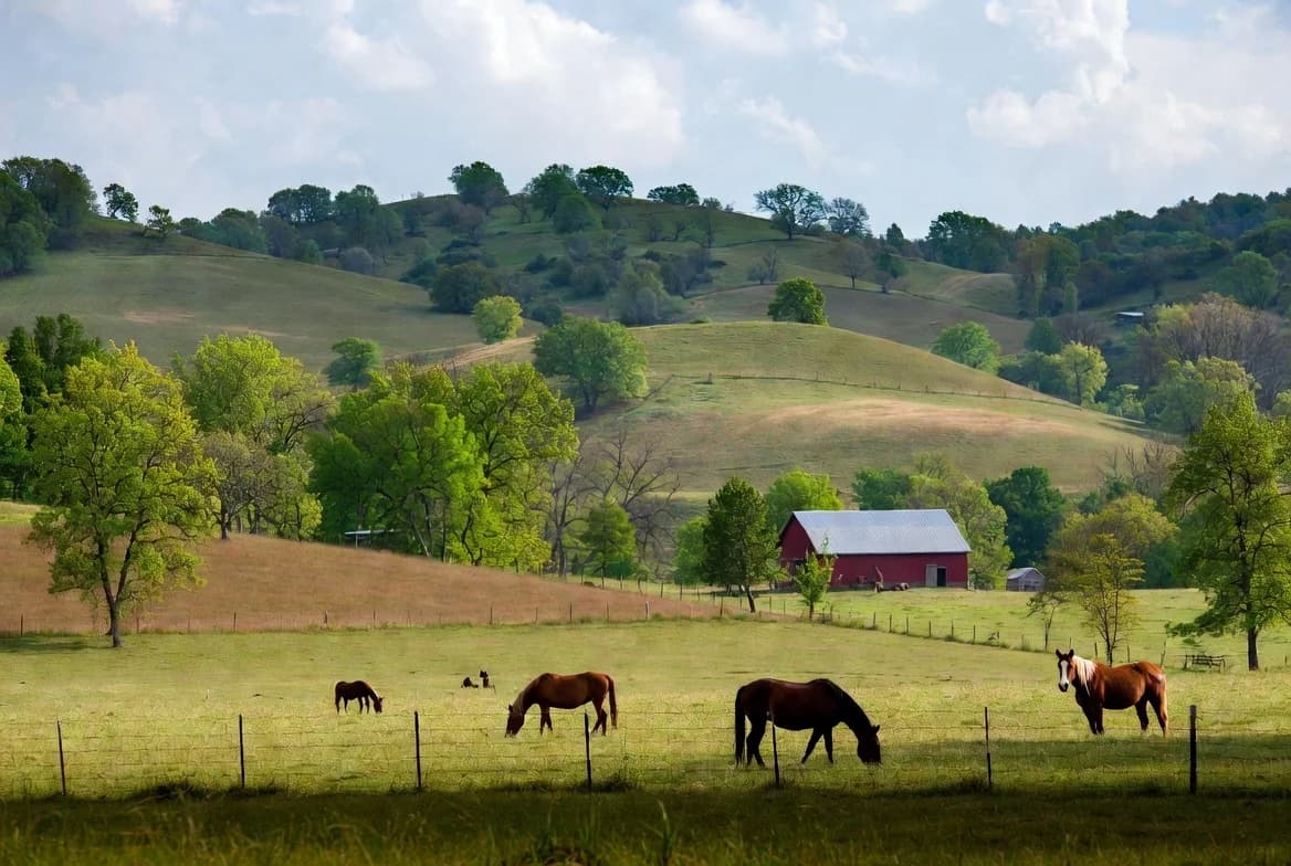 RV rentals in Pulaski, TN - Sam Davis Museum scenic view