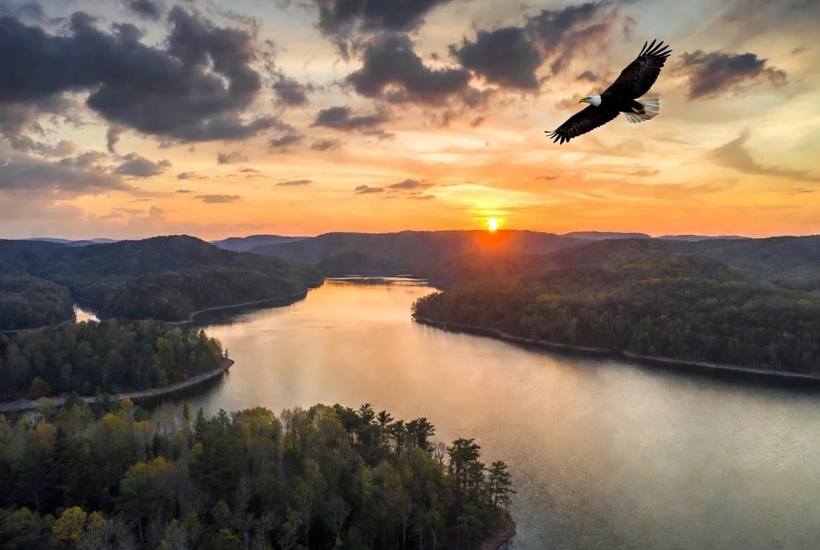 RV camping at Lake Guntersville State Park - State Park near Huntsville Alabama with Fishing and Boating